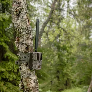 Hunter OBI Light Plus