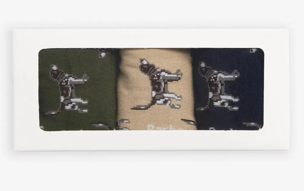 Dog Pointer 3-Pack Sock Gift Set Barbour 