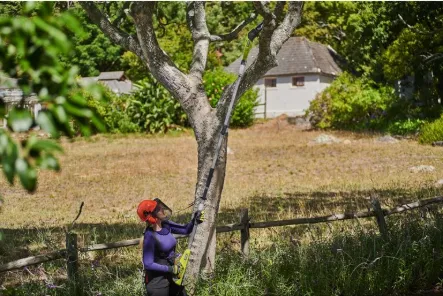 Ryobi RY18PP20A-0 Teleskopisk grensåg 20 cm 18V *