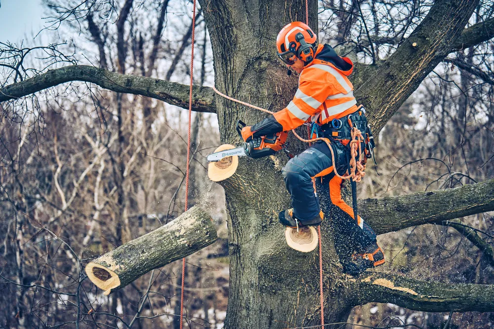 Husqvarna T542i XP Batterimotorsåg *