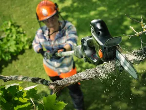 Husqvarna Aspire P8X-P4A Grensåg 