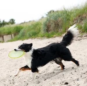 Frisbee, Flytande