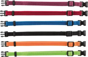 Valphalsband 6-pack
