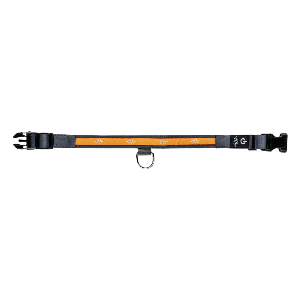 Blaser Led Halsband