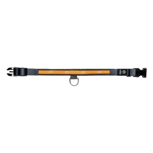 Blaser Led Halsband