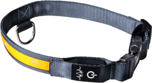 Blaser Led Halsband