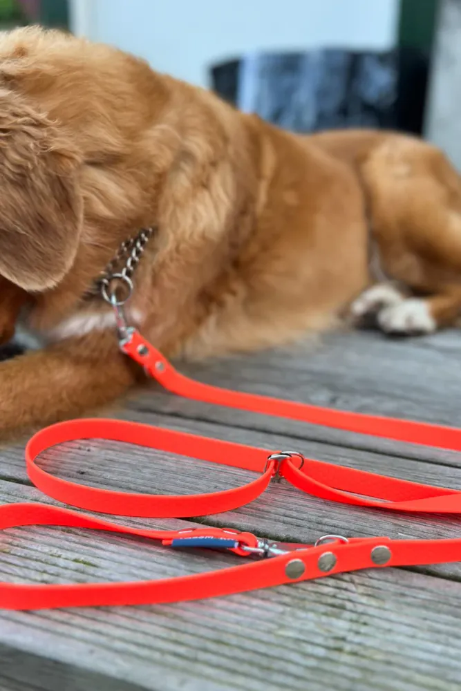 Rex Multikoppel 3m Orange