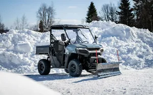 Polaris Ranger 500 *