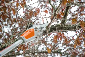 Stihl HTA 50 Stamkvistare