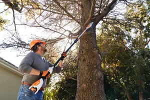 Stihl HTA 50 Stamkvistare