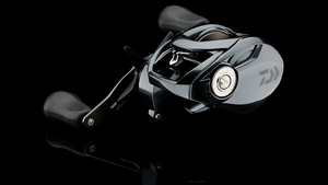 DAIWA TATULA TWS 300 HL
