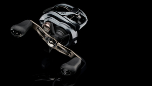 DAIWA TATULA TWS 300 HL