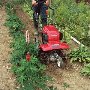 Honda FF 300 Jordfräs 