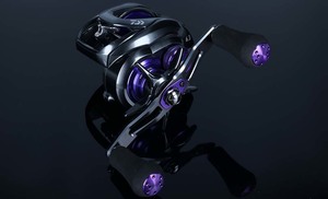 DAIWA 21 PROREX XR TWS 300  5.3:1 