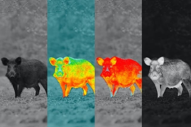 Zeiss DTI 3/25 1.8x 384x288 50 Hz Värmekamera 