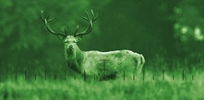 Zeiss Victory NV 5.6x62 T* Vattentät Nattkikare 