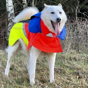Tuskproof Wolf skyddsväst med fäste för vargstål