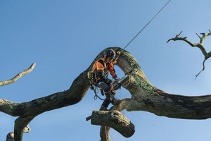 Husqvarna T540i XP G Batterimotorsåg 