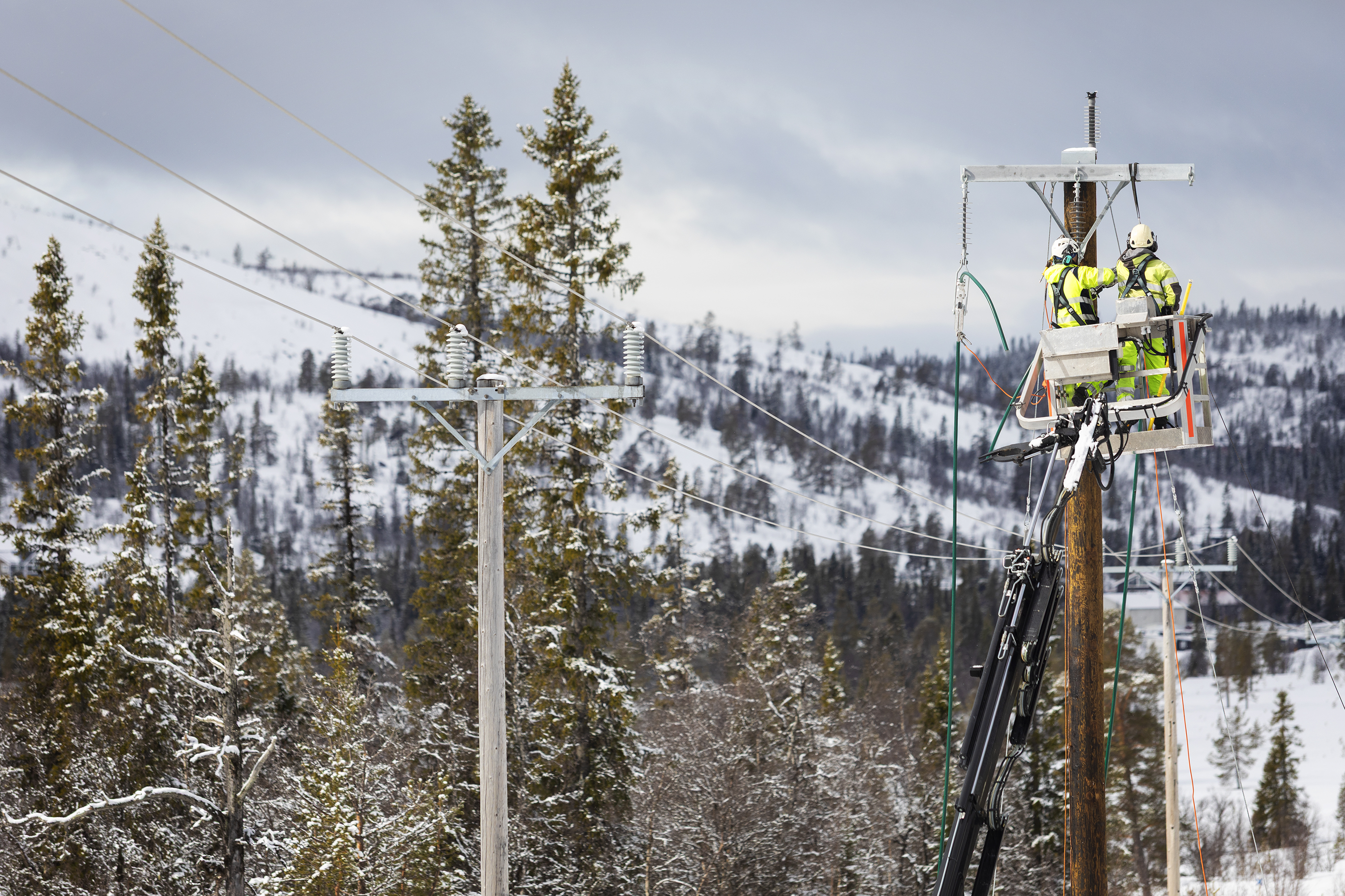 Nordic alpine environment: 52 kV in reality – why Covered Conductor was the chosen solution