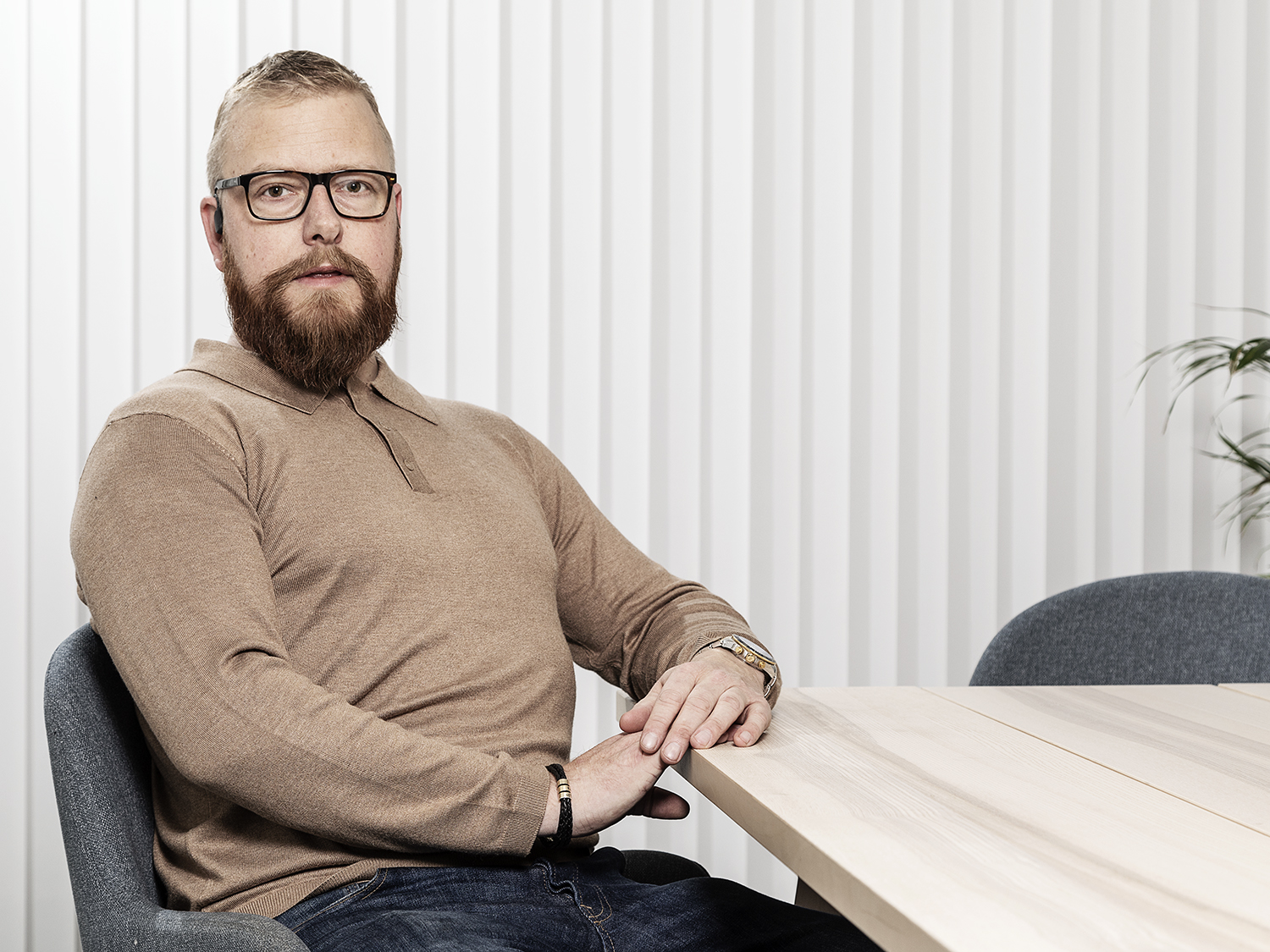 Bild på Bjerlin