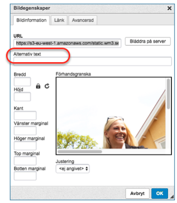 Här hittar du alt-texten för ifyllnad.