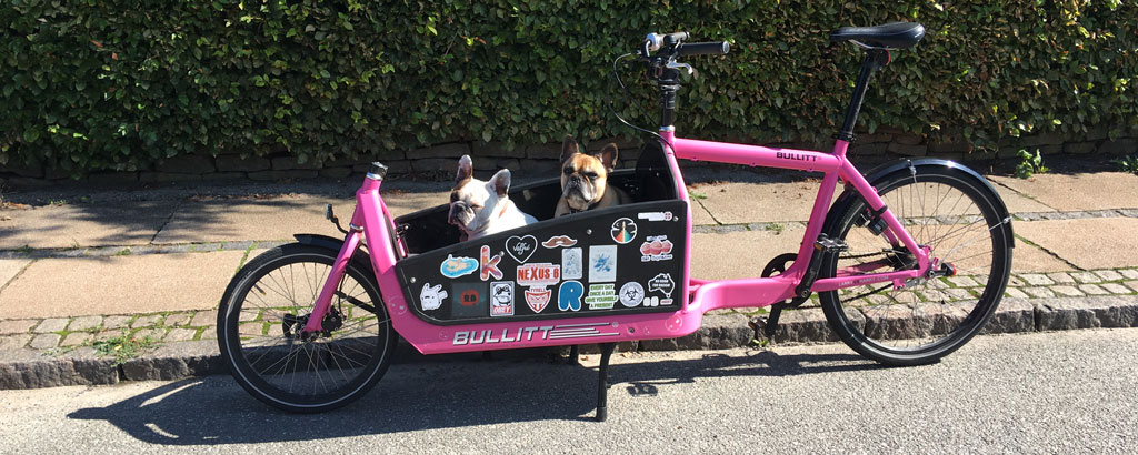 Rosa lastcykel med två hundar i