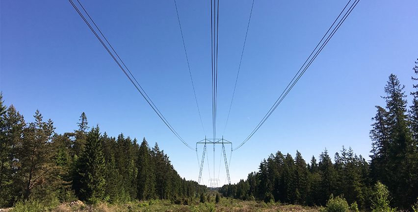 Elförsörjning Blekinge – nuläge och tankar för framtiden