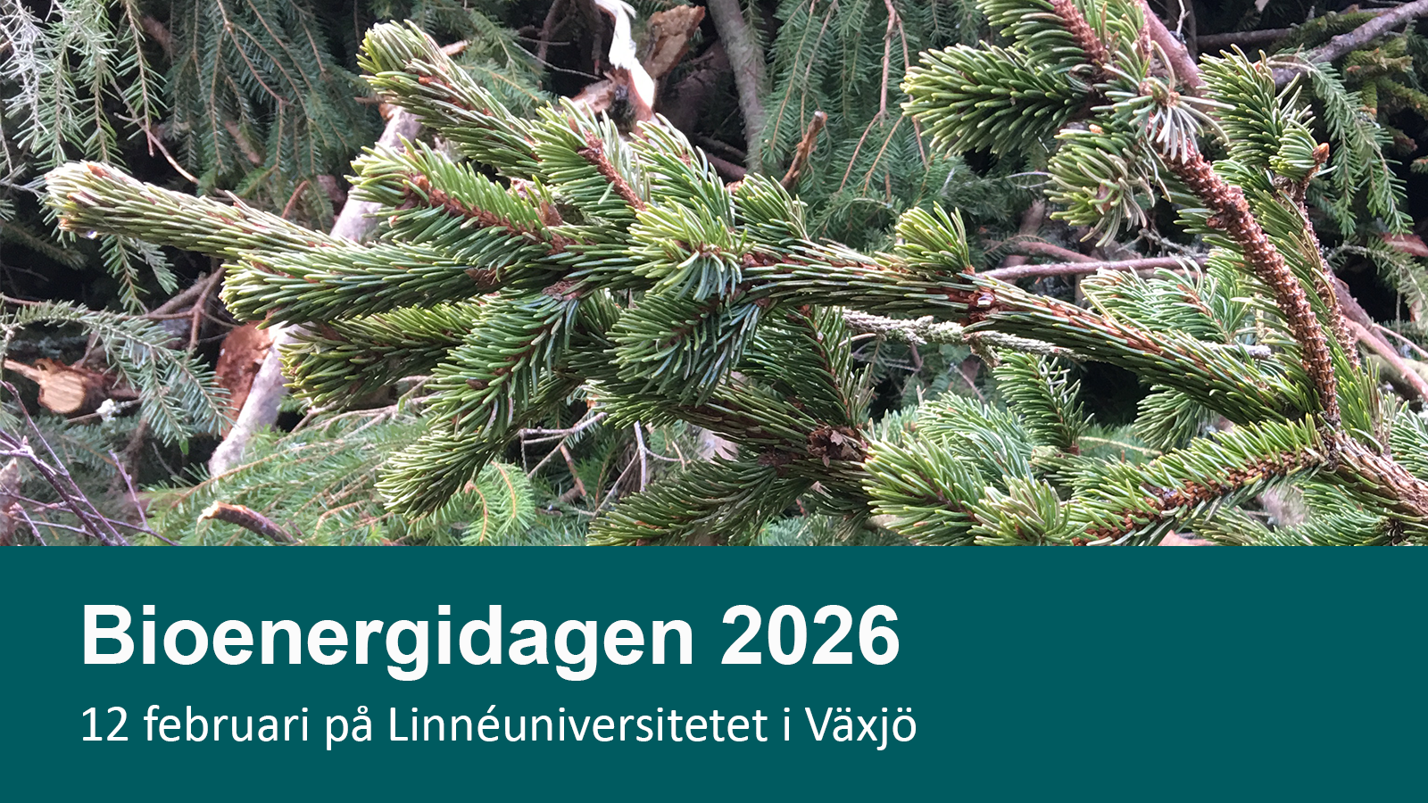 Bild på skog, text: Bioenergidagen 2026.