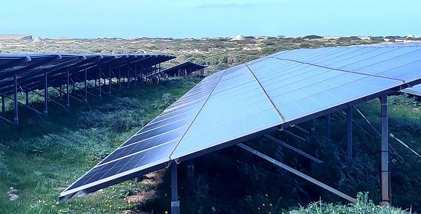 Mellan solceller och fårbete - erfarenheter från omställningen på Menorca