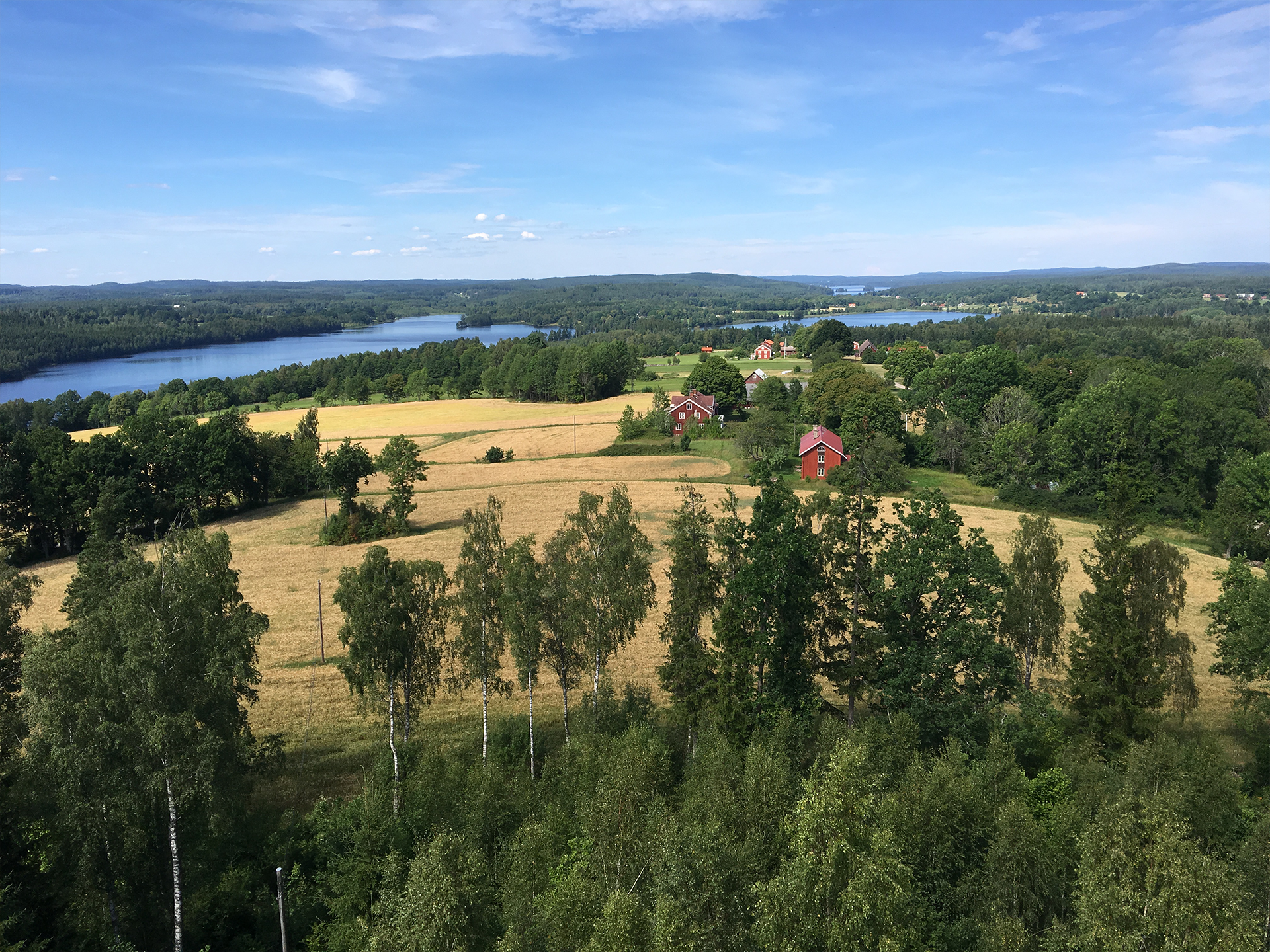 Landskap med skog och ängar.