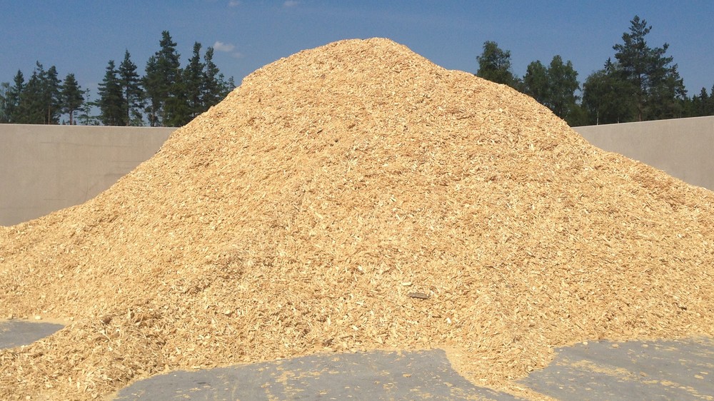 Bioenergi - användning och potential