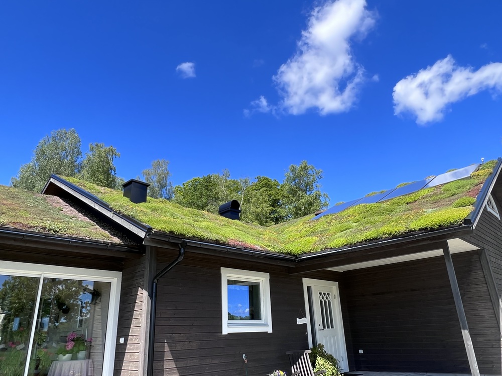 Grönt tak med solceller i Bräkne-Hoby. 