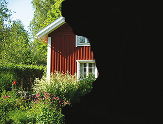 Bilden visar en svart skugga som är en av de effekter man kan uppleva vid näthinneavlossning