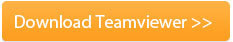 Schaltfläche mit dem Text Download Teamviewer.