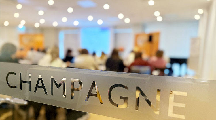 Rapport från LVI-dagarna 2025