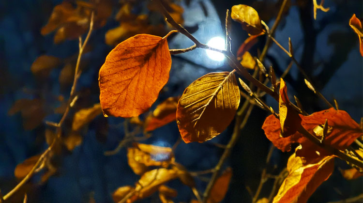 Perfekt tid för inomhusaktiviteter