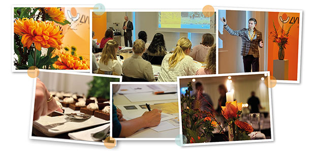 Kollage av bilder från tidigare LVI-dagar. Man ser bland annat ryggar på deltagare i konferenssal.