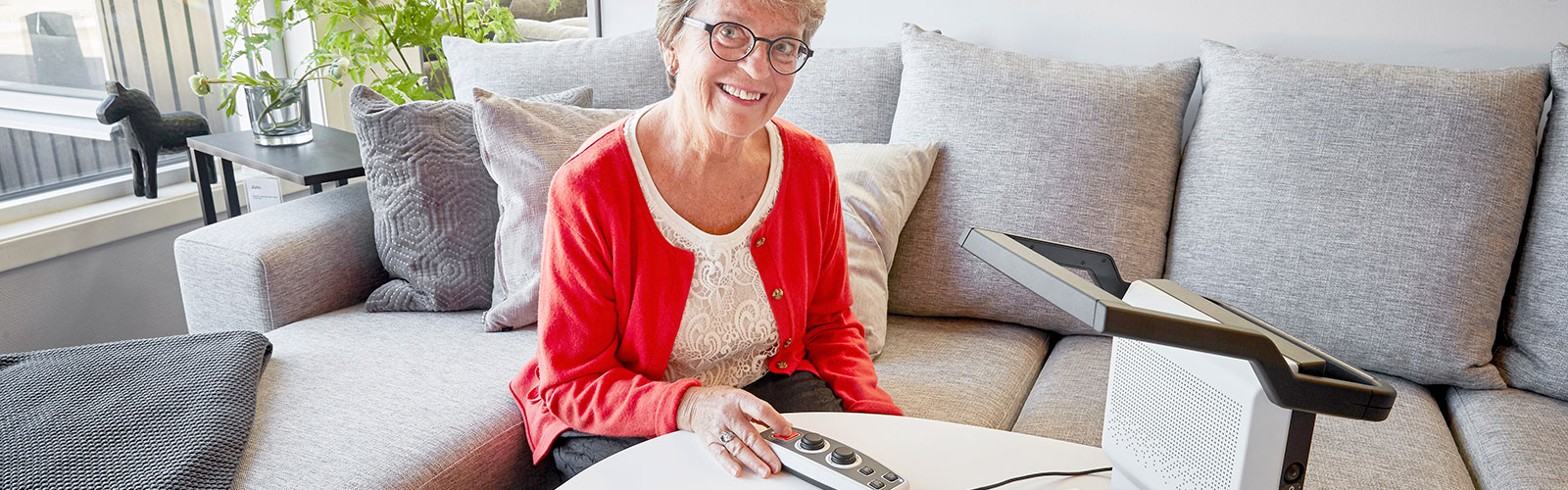 Bild på MagniLink Voice