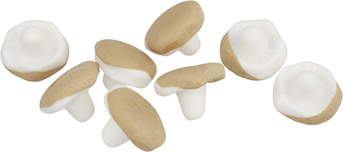 KOLASVAMP rest v35 2025