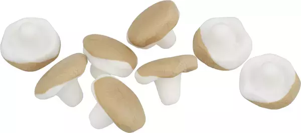 KOLASVAMP rest v35 2025