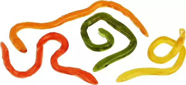 AROMA JÄTTEORMAR - 2,5 kg
