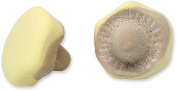 Banankola Svamp 1kg