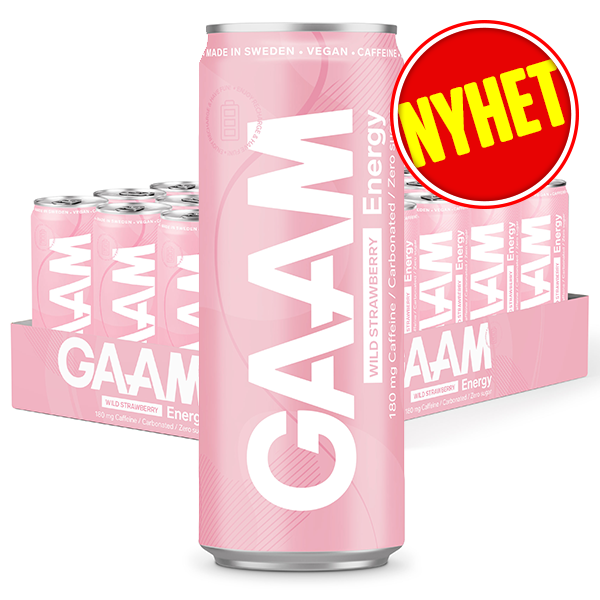 GAAM Energy Wild Strawberry 24x33cl