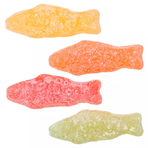 Syrlig Pastellfisk 3,2 kg
