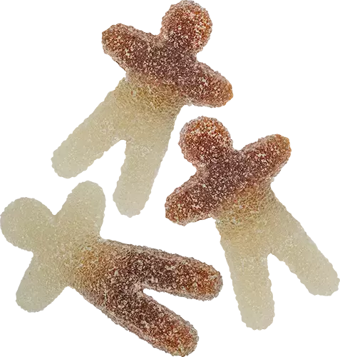 Coola Gubbar 3.5kg