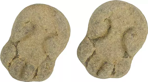 Pulverfylld Padda 3.5kg