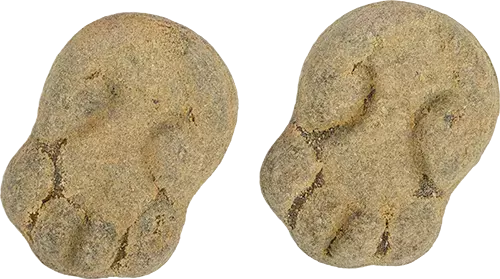 Pulverfylld Padda 3.5kg