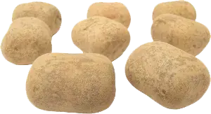 Salt Vit Chokladlakrits - 3,8 kg