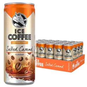 HELL Ice Coffee Salted Caramel 25cl x 12