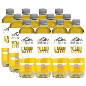 Latitude 65 Ananas 50cl x 12st
